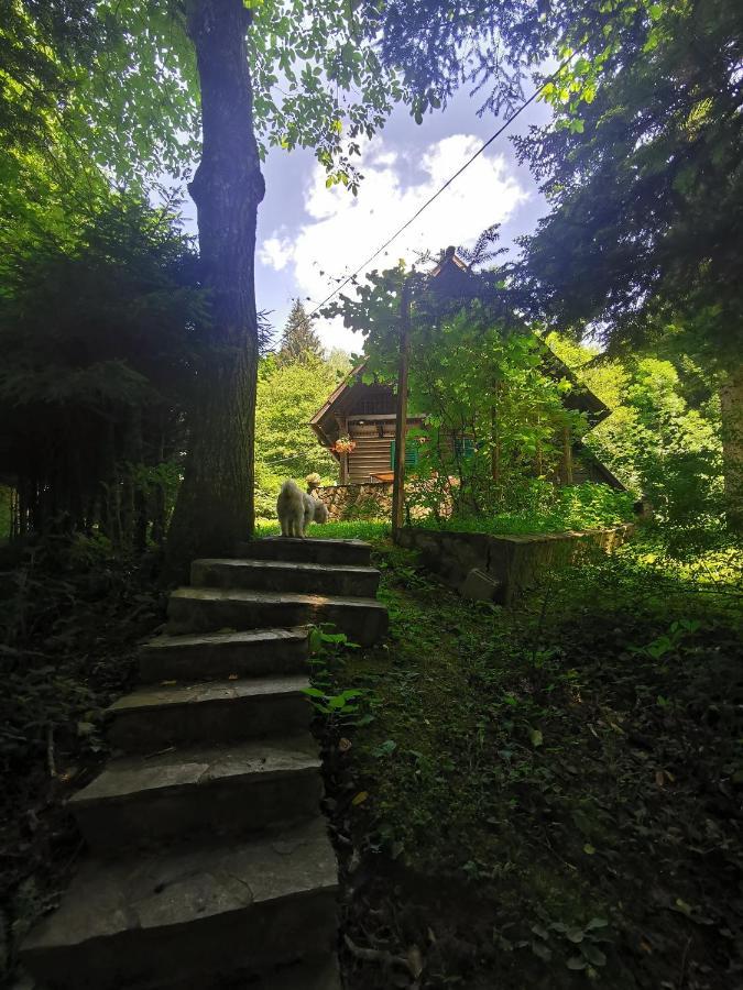Vila Fani, Kostel - Vacation House Pr' Vili Fani Exteriér fotografie
